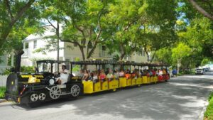 Yellow train tram on a tree lined street next to older homes